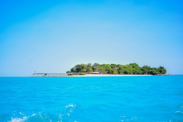Prison Island Tour in Zanzibar